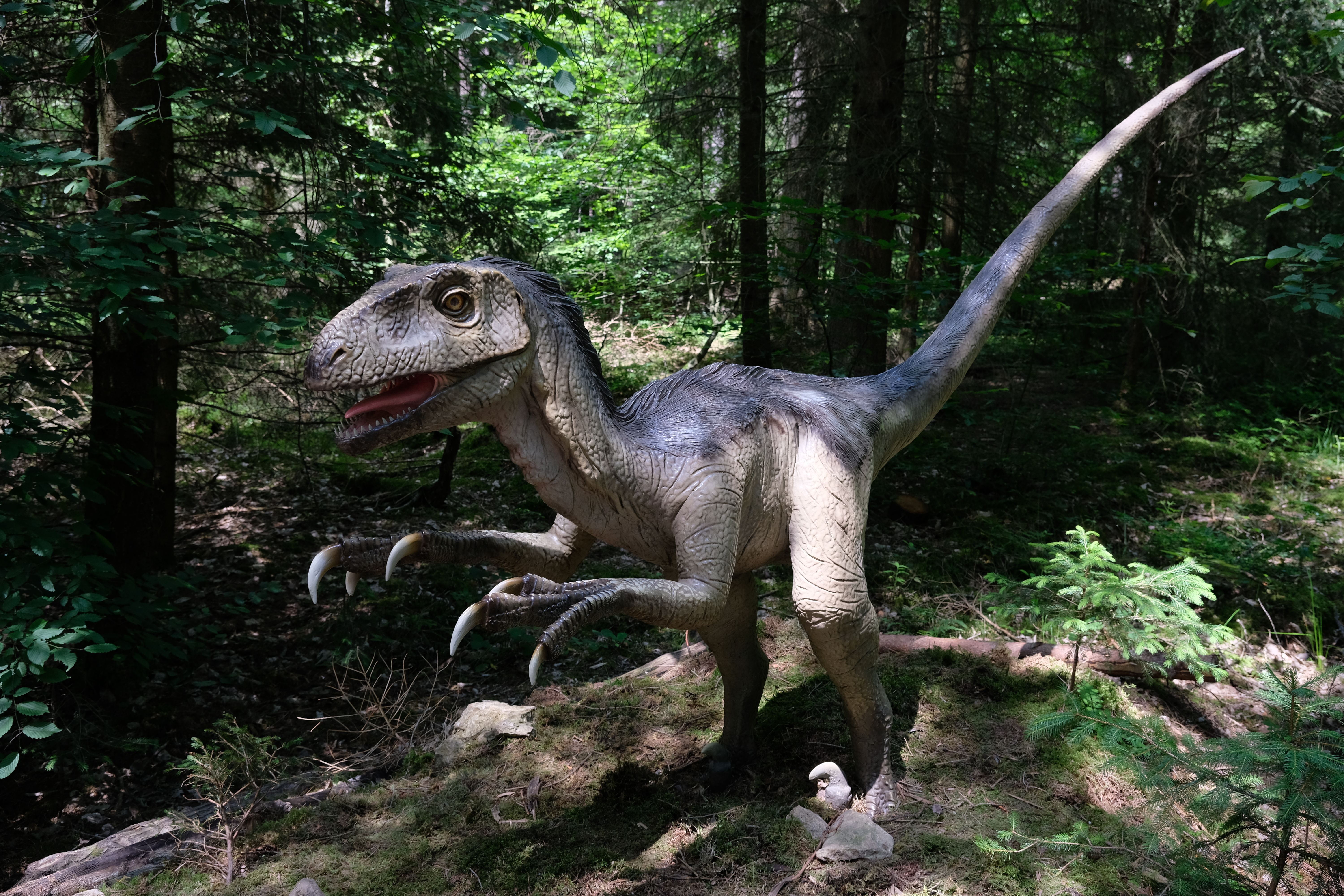 Deinonychus_Dinopark_Denkendorf.jpg