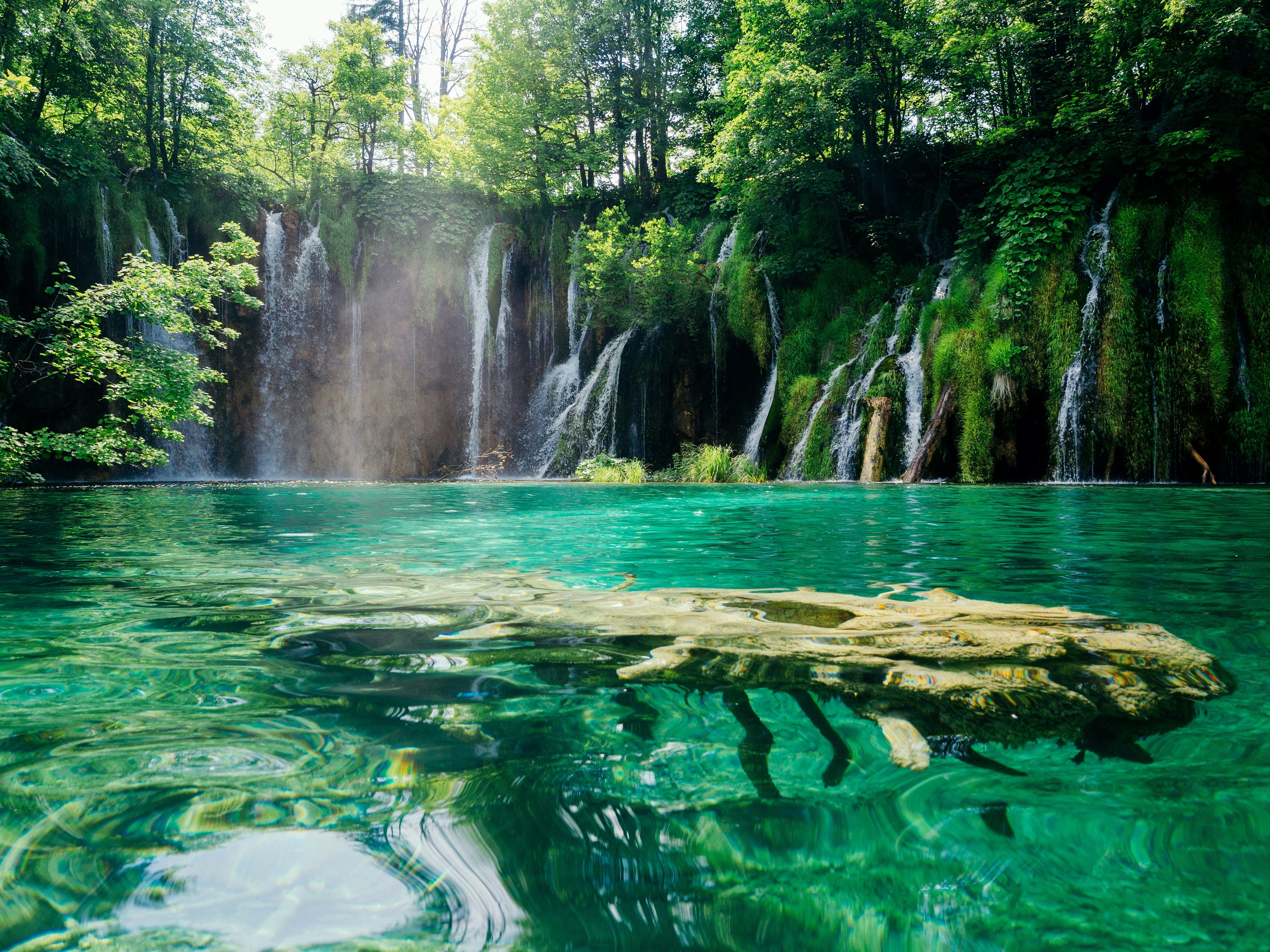 ante-hamersmit-SHqEPeNdOb0-unsplash.jpg